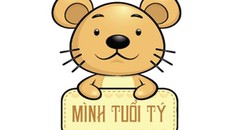 Tử vi vận hạn, tài lộc Bính Thân 2016 người tuổi Tý