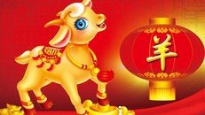 Tử vi vận hạn, tài lộc Bính Thân 2016 người tuổi Mùi