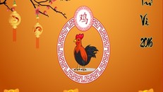 Tử vi vận hạn, tài lộc Bính Thân 2016 người tuổi Dậu