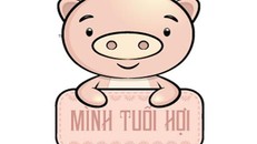 Tử vi vận hạn, tài lộc Bính Thân 2016 người tuổi Hợi