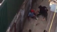 4 con chó dữ tấn công chủ: Bị cắn vẫn phải chịu xử phạt