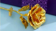 Chưa đến ngày 8-3, hoa hồng dát vàng đã được khách 'săn lùng'