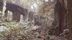 Phế tích biệt thự cũ thời Pháp ở Vườn Quốc gia Ba Vì