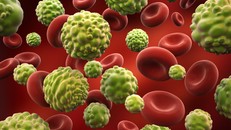 Phát hiện kinh ngạc: Tế bào ung thư sợ nhất là TÌNH YÊU