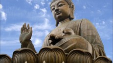 Lời Phật về 4 người bạn tốt thật sự của ta là ai