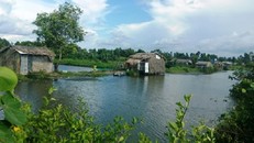 Cà Mau: Giám đốc 'ăn chặn' tiền đền bù của dân bị thôi việc