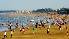 Cá chết trắng ở biển Hà Tĩnh nhưng tắm biển Cửa Lò vẫn an toàn