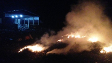 Hợp tác... phá môi trường!