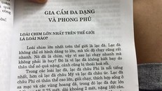 Sốc vì lỗi sách cho trẻ em: Loài chim lớn nhất thế giới là lạc đà