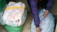 Các 'công hàng' tại cảng Chùa Vẽ ẩn giấu bí mật kinh hoàng