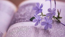 Bói vui: Xem tử vi của 12 cung hoàng đạo thứ 3 ngày 10/5/2016