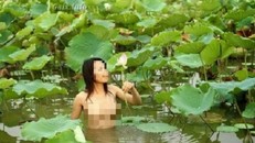 Phản cảm bộ ảnh thiếu nữ khỏa thân giữa đầm sen