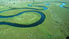Đồng bằng Okavango - Di sản thiên nhiên thế giới tại Botswana