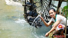 Về Con Cuông tắm Khe nước Mọc, ăn cá nướng và xôi tím