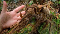 Mời bạn thử tài làm trắc nghiệm về kiến thức tổng hợp