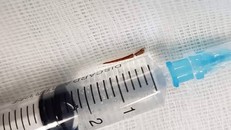 Dị vật sau khi đã được bác sĩ phẫu thuật lấy ra khỏi mắt - Ảnh: Sức khỏe và Đời sống