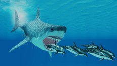 Thủ phạm ngoài hành tinh khiến siêu cá mập khổng lồ thời tiền sử tuyệt chủng