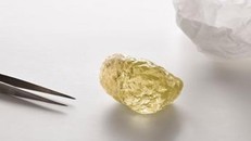 Chiêm ngưỡng viên kim cương hiếm, to bằng quả trứng gà