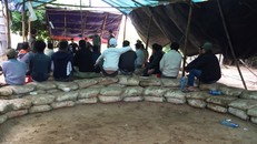 Bắt quả tang 23 đối tượng đánh bạc dưới hình thức đá gà