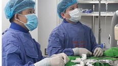 Các bác sĩ đang cấp cứu cho bệnh nhân