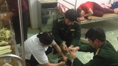 Một phụ nữ ăn lá ngón tự tử vì mâu thuẫn gia đình