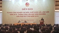 Việt Nam đứng thứ hai châu Á về xuất khẩu gỗ