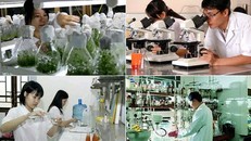 Hàng loạt chính sách ưu đãi cho doanh nghiệp khoa học và công nghệ