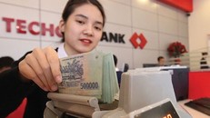 Techcombank báo lãi 10.661 tỷ đồng năm 2018