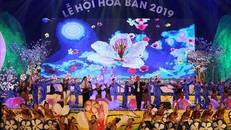 Phó Thủ tướng Vũ Đức Đam dự khai mạc Lễ hội Hoa ban 2019