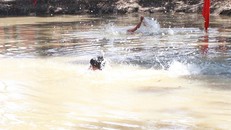 Vào chùa xin ngủ nhờ, hai bà cháu chết đuối dưới ao