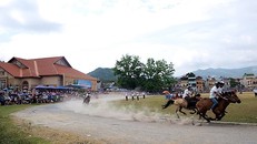 Sắp diễn ra Festival ‘Vó ngựa cao nguyên trắng Bắc Hà 2019’