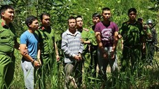 Bắt kẻ cầm đầu vụ hạ độc hơn 10 ha rừng thông 20 năm tuổi