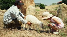 Ninh Thuận: Một trung tâm du lịch mới đang hình thành