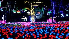 Đón hè rực rỡ với đại tiệc ánh sáng đầu tiên tại xứ biển Quy Nhơn