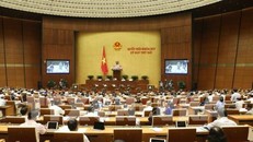 Điều chỉnh tuổi nghỉ hưu cần tránh gây 'sốc' thị trường lao động