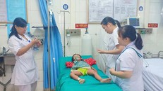 Bé 3 tuổi sốc phản vệ nguy kịch vì bị kiến xoan đốt