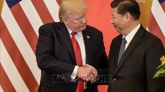 Tổng thống Mỹ Donald Trump (trái) và Chủ tịch Trung Quốc Tập Cận Bình trong cuộc gặp tại Bắc Kinh ngày 9/11/2017. Ảnh tư liệu: AFP/TTXVN