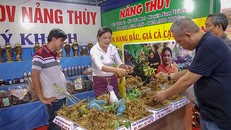 Mua bán sâm Ngọc Linh tại phiên chợ sâm Ngọc Linh. Ảnh: Namtramy.gov.vn