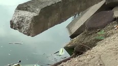 Hồ Gươm sạt lở kéo dài gây mất mỹ quan, nguy hiểm cho người dân