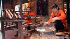Nhiều quốc gia tham dự Festival Văn hóa tơ lụa tại Hội An