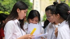 45 trường Đại học bị yêu cầu dừng đào tạo hệ Cao đẳng