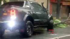 Chủ xe bán tải ủn cây đổ trên đường, giúp dân đi lại dễ dàng