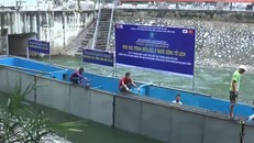 Chứng minh nước sạch, chuyên gia Nhật sẽ bơi sông Tô Lịch