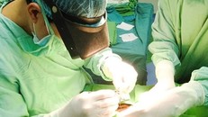 Bác sĩ phẫu thuật lấy dị vật trong mắt bé trai. Ảnh: Bệnh viện Đa khoa Quốc tế Vinh