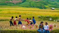 Cả tháng săn vé 0 đồng, đi đu đưa khắp Việt Nam