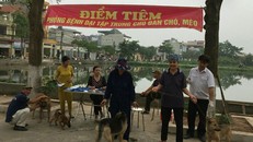 54 người chết vì bệnh dại trong 9 tháng đầu năm