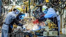 Dây chuyền hàn khung xe ôtô tại Công ty ôtô Toyota Việt Nam, vốn đầu tư của Nhật Bản tại Vĩnh Phúc. (Ảnh: Danh Lam/TTXVN)