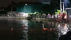 2 bé gái tử vong khi đạp vịt ở hồ nước