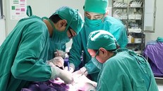 Mắc bệnh hiếm gặp, bé 19 tháng tuổi 'thoát chết' thần kỳ