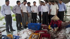 Việt Nam thực hiện hiệu quả các khuyến nghị của Ủy ban châu Âu về IUU